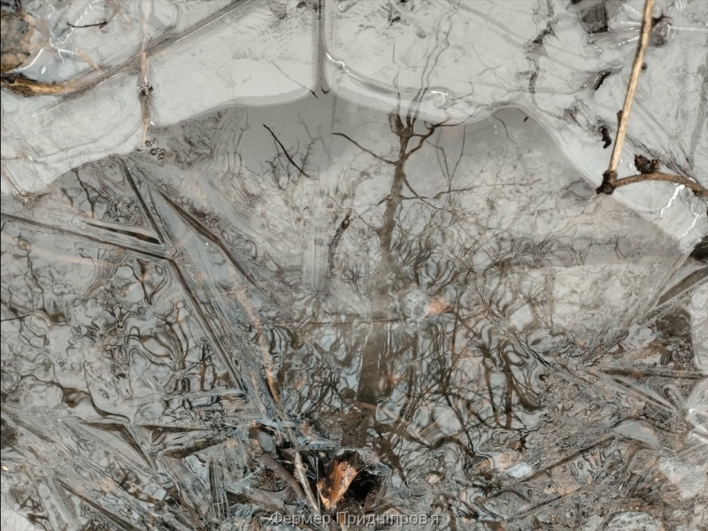 Погода на 16 лютого