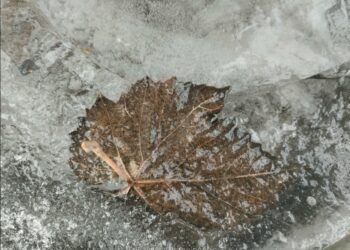 Погода на 8 лютого