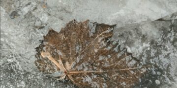 Погода на 8 лютого