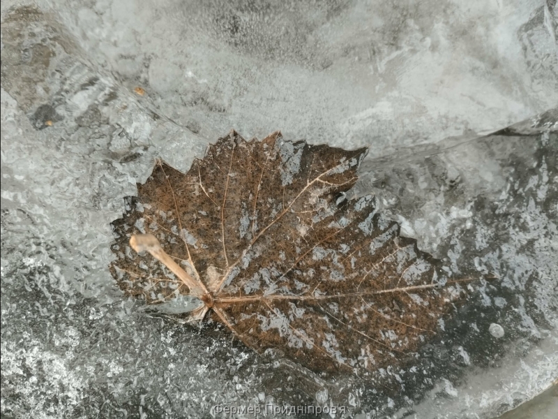 Погода на 8 лютого