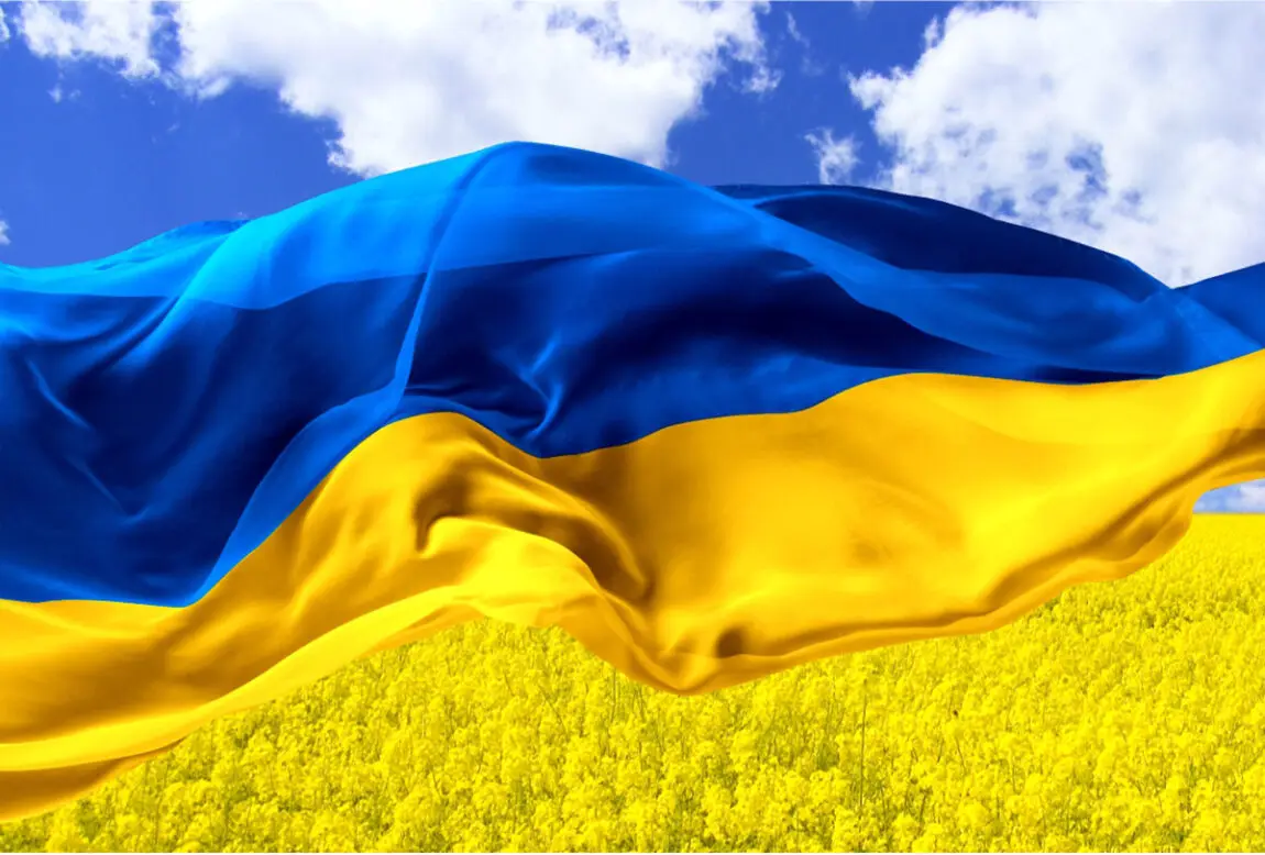 Технологічний гуманізм і цифрова держава: як Україна змінюється сьогодні