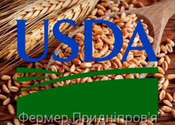 Прогноз світового виробництва пшениці на 2025/26 МР знижено до 841,8 млн т