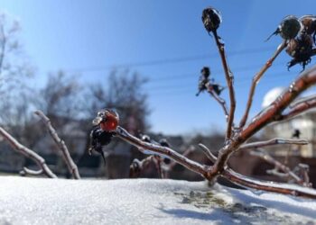 Синоптики попереджають: Миколаївщина під жовтим рівнем небезпеки