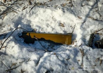 Вибухотехніки поліції Сумщини знищили на місці ворожу міну ПТМ-3