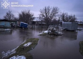 Відлига на Миколаївщині: рятувальники відкачують воду з десятків дворів, – ФОТО