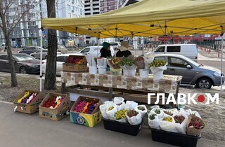 Скільки коштують квіти у Києві перед 8 березня: огляд цін на ринках та в магазинах
