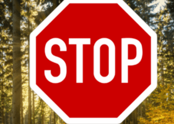 В’їзд заборонено: чому у одній з громад на Тернопільщини закрили ліси для відвідувачів