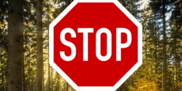 В’їзд заборонено: чому у одній з громад на Тернопільщини закрили ліси для відвідувачів