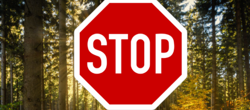 В&rsquo;їзд заборонено: чому у одній з громад на Тернопільщини закрили ліси для відвідувачів