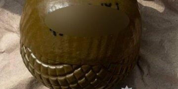 На Тернопільщині затримали чоловіка з бойовою гранатою: що він хотів з нею зробити?