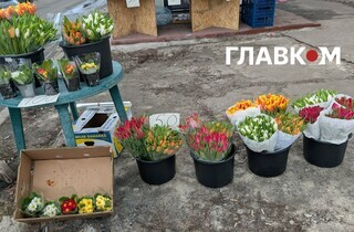 Скільки коштують квіти у Києві перед 8 березня: огляд цін на ринках та в магазинах