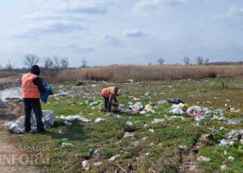 Проблема, яка не зникає: у Кілії знову прибирають гори сміття