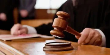 Два удари через город: на Прикарпатті жінка побила сусідку палицею через те, що ходила її землею