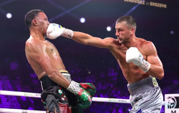 Гвоздик оцінив готовність Хижняка до професійного боксу