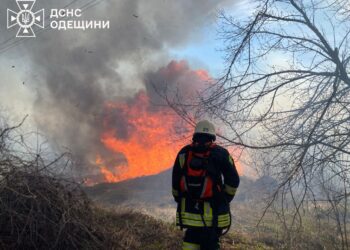 Ціна байдужості — мільйони: екологічні втрати на Одещині зростають