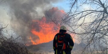 Ціна байдужості — мільйони: екологічні втрати на Одещині зростають