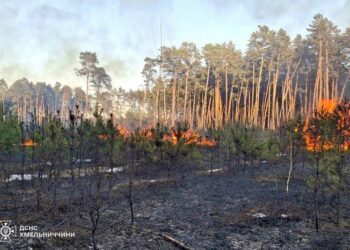 Хмельниччина у вогні: палії нищать екосистеми, а рятувальники полюють на них з дронів