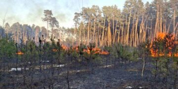 Хмельниччина у вогні: палії нищать екосистеми, а рятувальники полюють на них з дронів