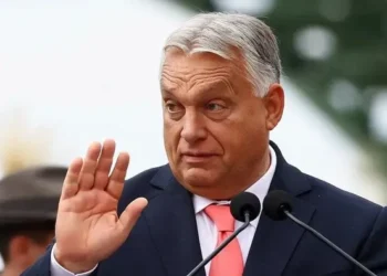 У ЄС розкритикували Зеленського за його слова про Орбана — ЗМІ