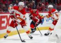 Матчі НХЛ: Вашингтон розбив Калгарі