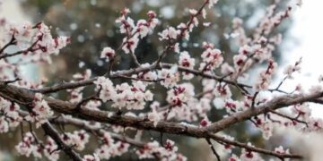 У Запоріжжі південний циклон спричинить короткочасні дощі