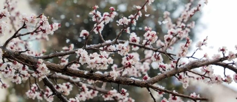 У Запоріжжі південний циклон спричинить короткочасні дощі