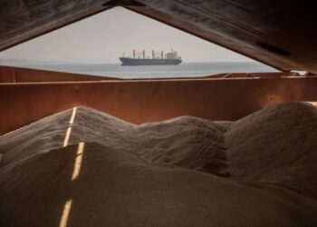 Українська пшениця подорожчала на тлі війни в Ірані