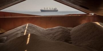 Українська пшениця подорожчала на тлі війни в Ірані