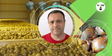 Енергоефективність нині над усе інше головний критерій для українських овочесховищ, без яких ні туди, ні сюди