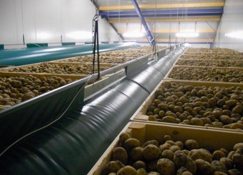 Енергоефективність нині над усе інше головний критерій для українських овочесховищ, без яких ні туди, ні сюди