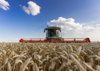 Гроші, гранти й техніка: яку підтримку отримають аграрії Миколаївщини