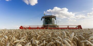 Гроші, гранти й техніка: яку підтримку отримають аграрії Миколаївщини