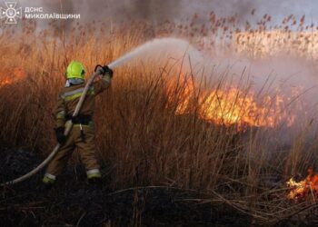 Ледь не дійшло до будинків: на Миколаївщині вигоріли гектари сухостою, – ФОТО