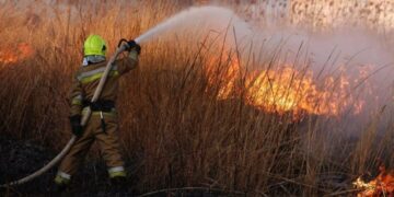 Ледь не дійшло до будинків: на Миколаївщині вигоріли гектари сухостою, – ФОТО