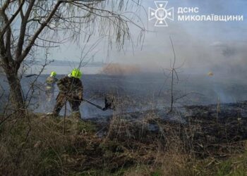 Люди знову палять: на Миколаївщині вигоріло 6 гектарів територій, – ФОТО