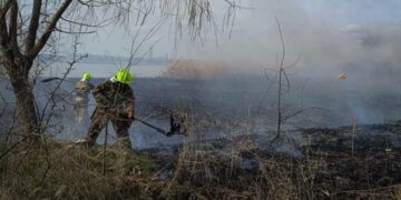 Люди знову палять: на Миколаївщині вигоріло 6 гектарів територій, – ФОТО