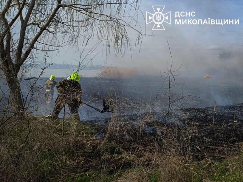 Люди знову палять: на Миколаївщині вигоріло 6 гектарів територій, - ФОТО