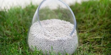 УВАГА: Азотний холдинг OSTCNEM знизив ціни на вапняково-аміачну  селітру