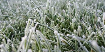 У Запоріжжі різко похолодає: очікуються дощі і заморозки