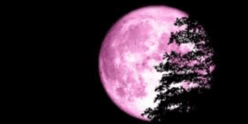 Рожева повня 2 квітня: що не можна робити в цей день