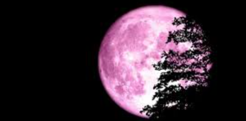 Рожева повня 2 квітня: що не можна робити в цей день