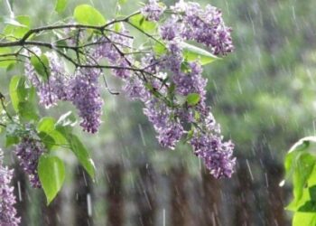 У Запоріжжі прогнозують невеликі дощі і до 19° тепла