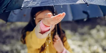 121% норми: у Миколаєві зафіксували рекордні дощі