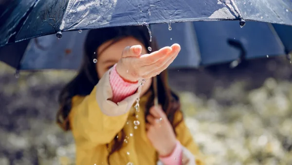 121% норми: у Миколаєві зафіксували рекордні дощі