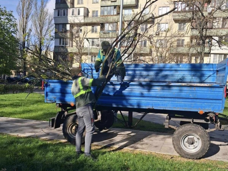 Наслідки буревію у Києві: комунальники назвали кількість повалених дерев (фото)