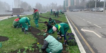 Клумби Одеси оживають: де вже висадили тисячі квітів