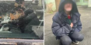Поліція у Києві затримала чоловіка, який пошкодив авто нардепа Гузя