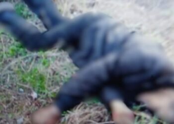 Дрон-“ждун” вбив чоловіка та поранив жінку поблизу Харкова