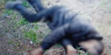 Дрон-“ждун” вбив чоловіка та поранив жінку поблизу Харкова