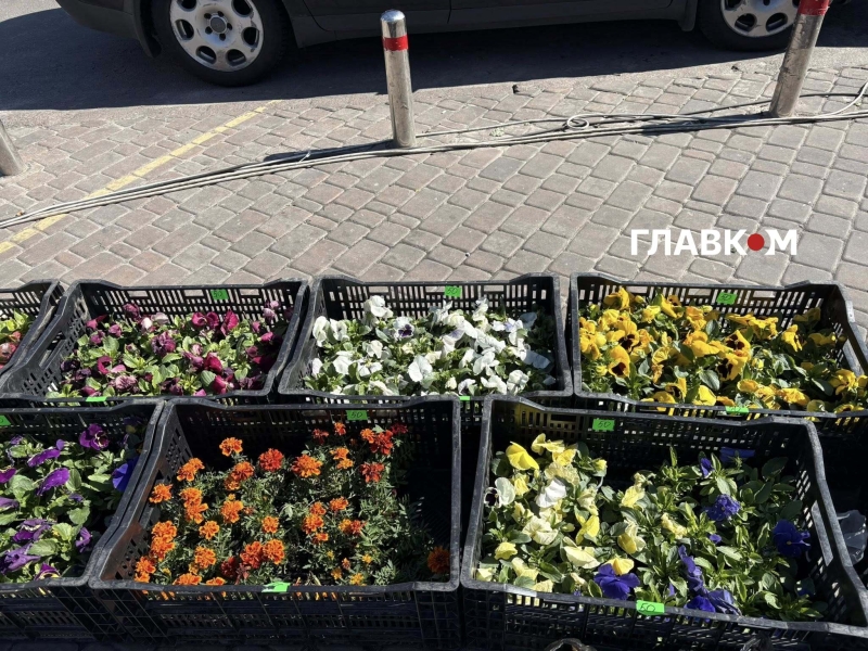 Поминальні дні 2026. Скільки коштують пластикові та живі квіти у Києві (репортаж)